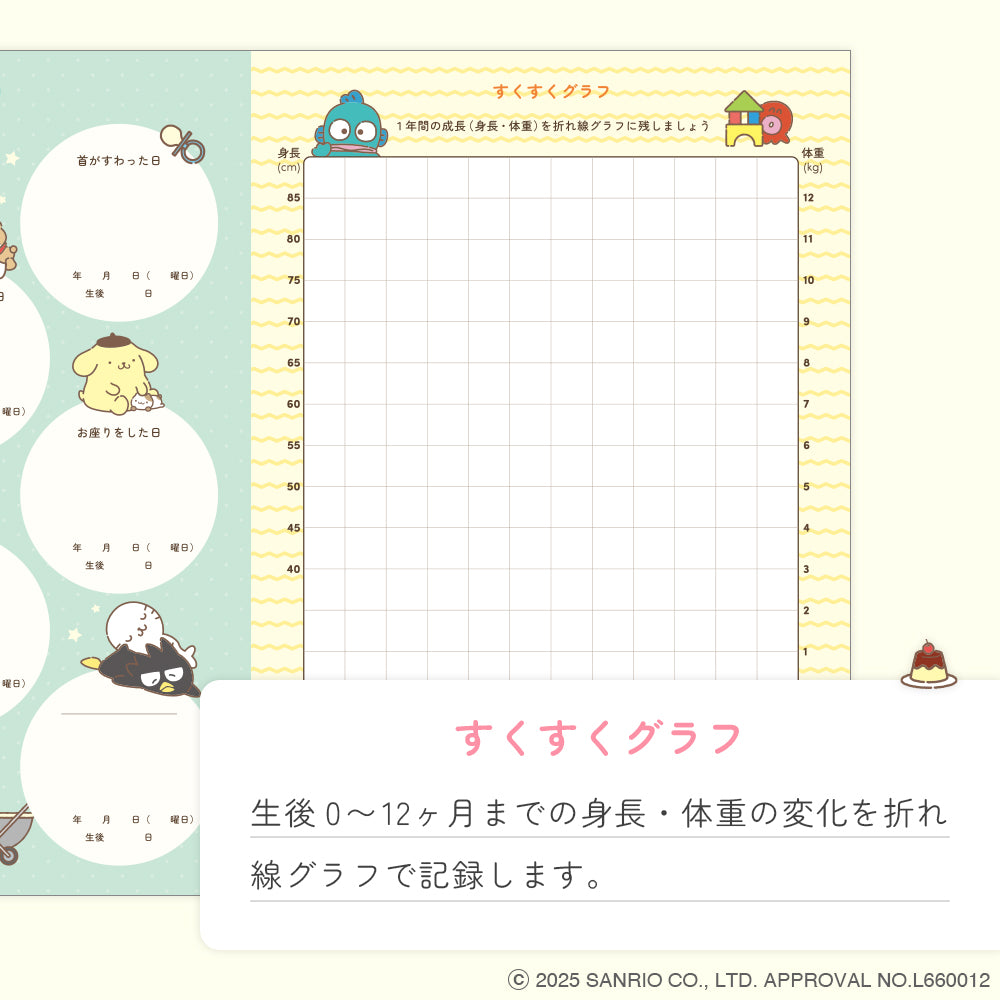 サンリオキャラクターズ育児日記